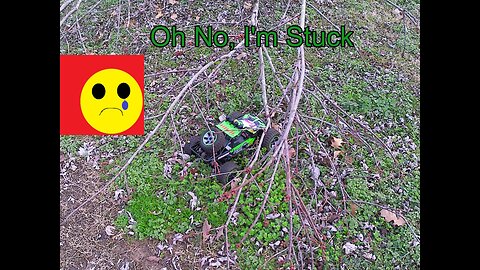 RC Buggy In The Back Yard