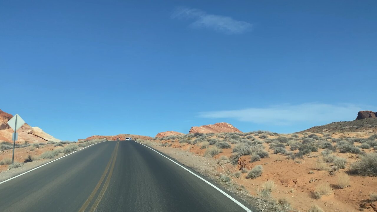 Sheep in Valley of Fire State Park , Nevada