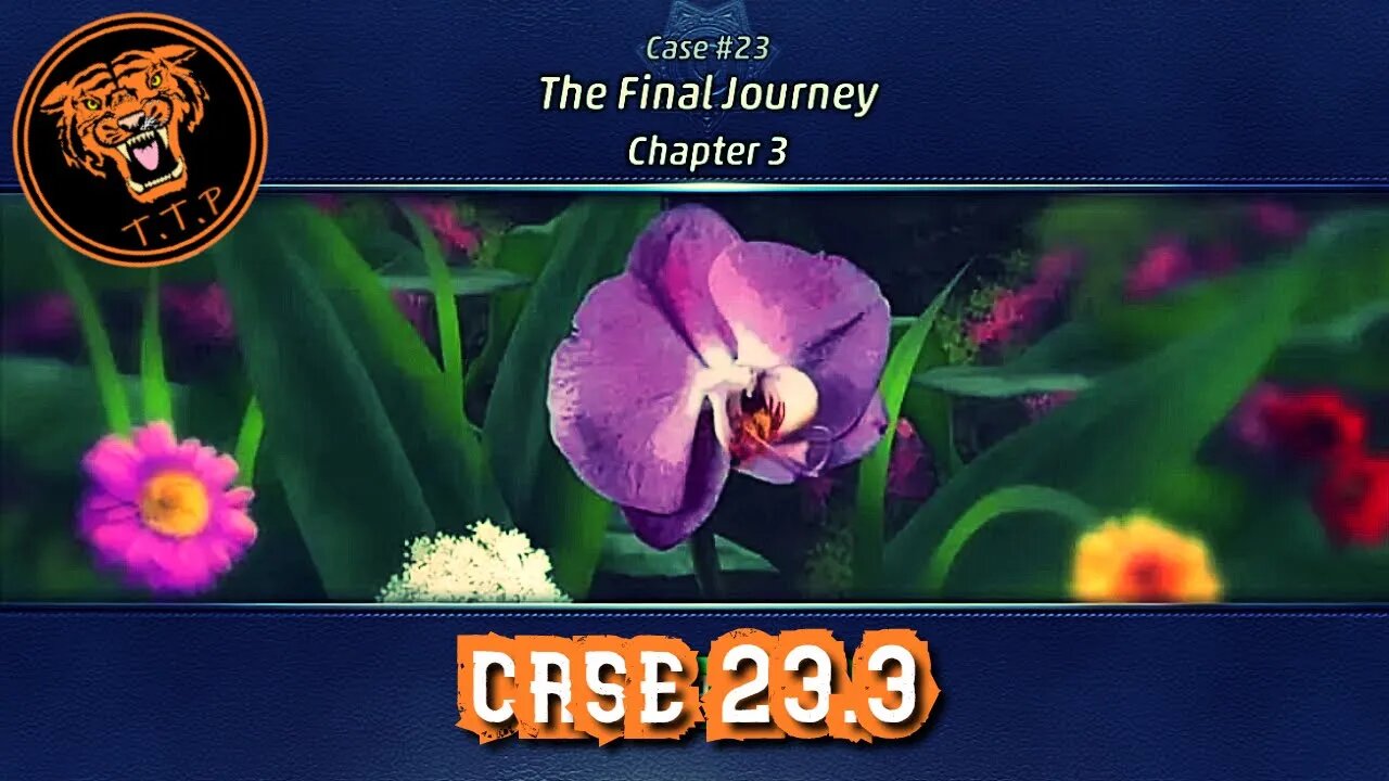 LET'S CATCH A KILLER!!! Case Case 23.3: The Final Journey