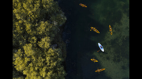 Khor kalba mangrove center UAE