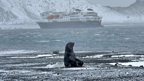 Antarctic Deception Island / Ukraine / Galactic Weather Report / Aquarius Constellation