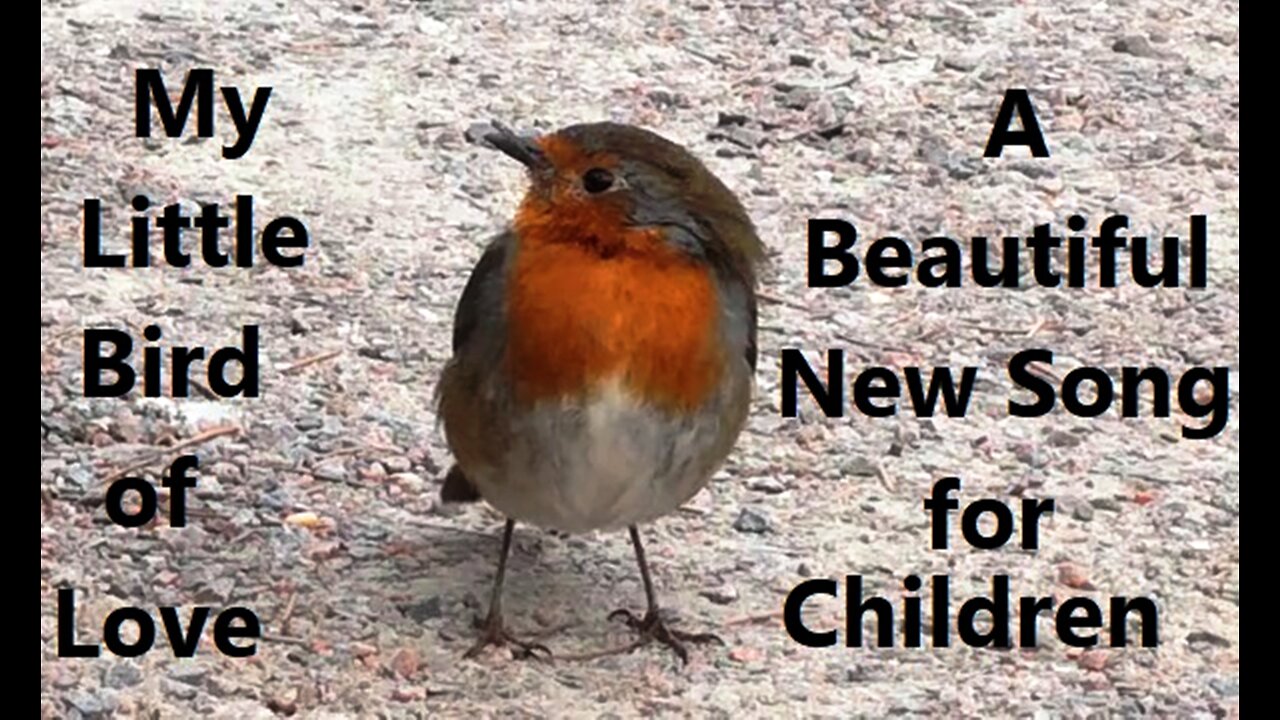 My Little Bird of Love (A Beautiful New Song for Children)