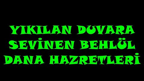 YIKILAN DUVARA SEVİNEN BEHLÜL DANA HAZRETLERİ