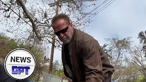 Arnold Schwarzenegger 'terminates' large pothole in Los Angeles | Works24