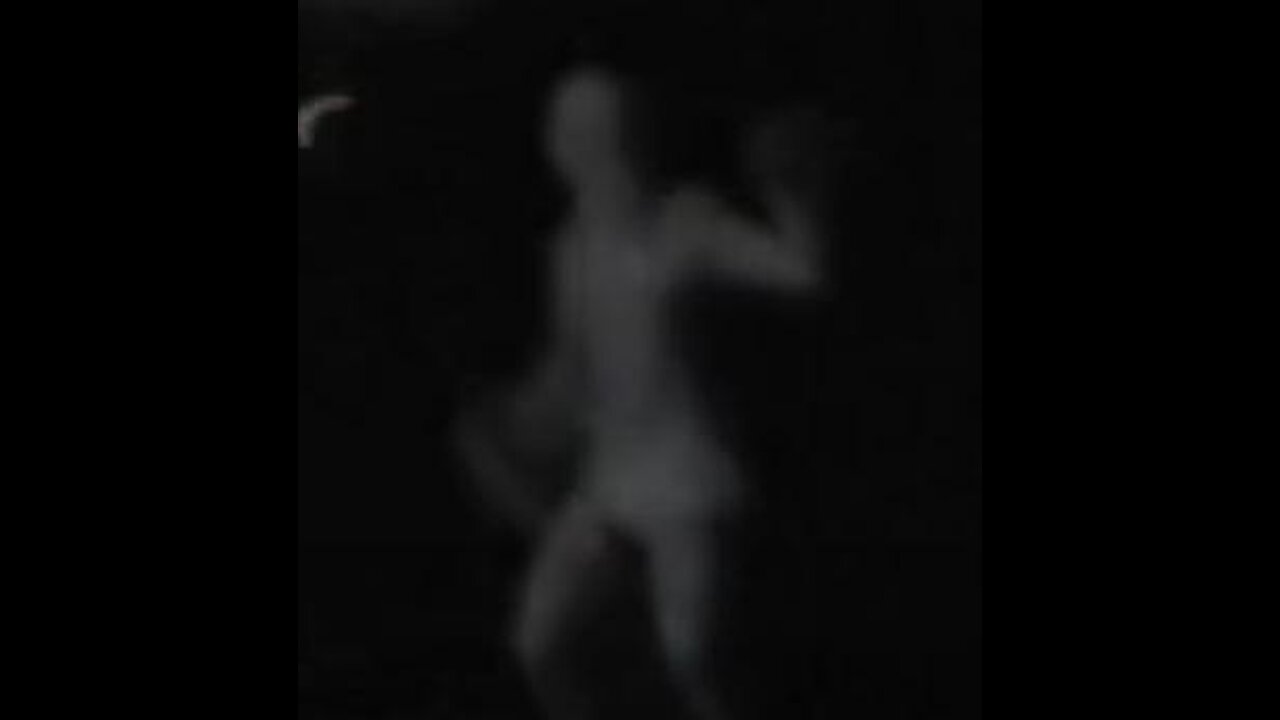 Pale-Crawler Taped in Salford, Greater Manchester, UK