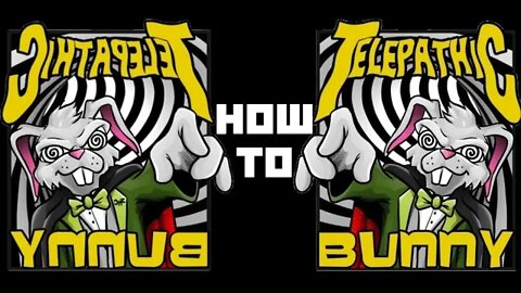 How To! Ask the Bunny