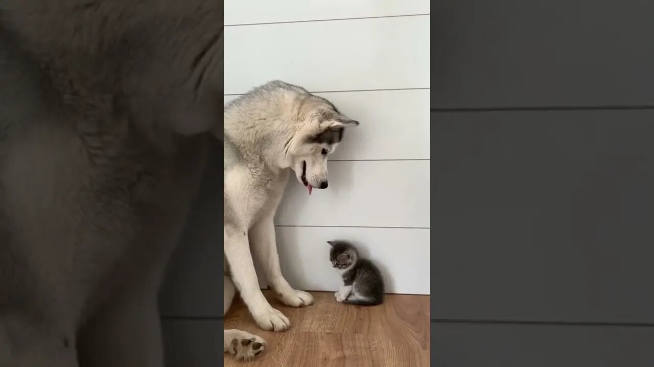An unlikely friendship