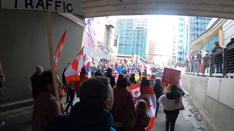 Calgary - Freedom Convoy March