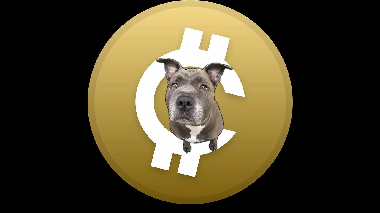 Crypto With Nala