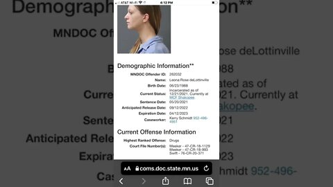 Prison is American "Felony" Friendly