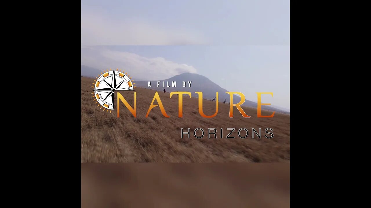 Nature Horizons - Lake Natron Giraffe Experience