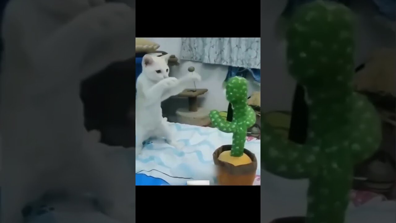 Funny Animal Videos Of The Day 0030! 😂😂
