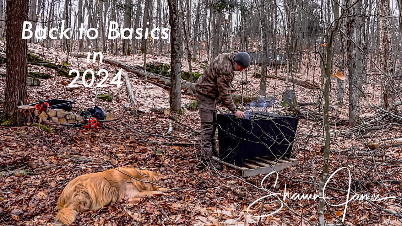 Clearing Forest for New Buildings, The Chainsaws I Use and Preparing for Maple Sugar Season