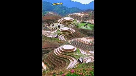 The beauty of terraces and ravines | daily life blog