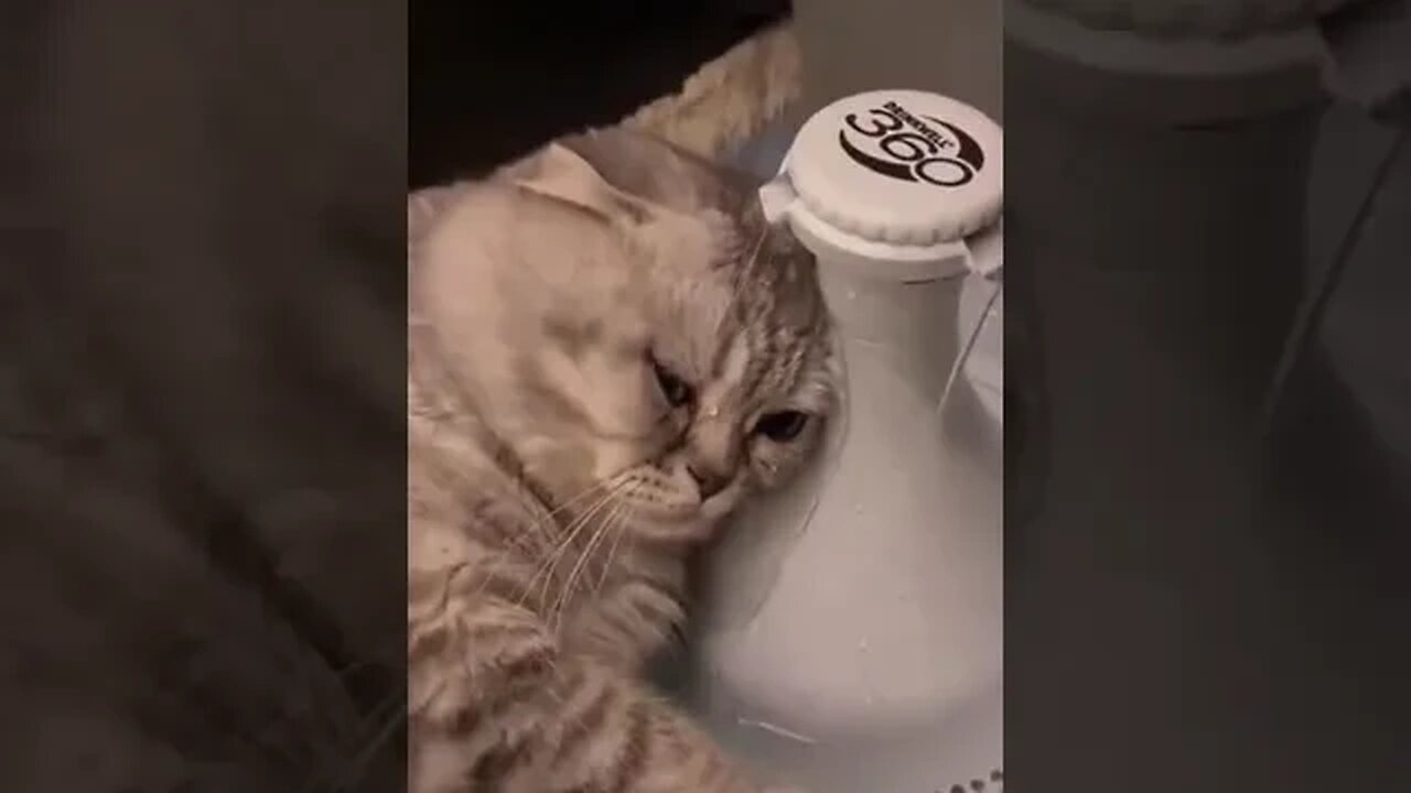 como hace ejercicio y es karateca