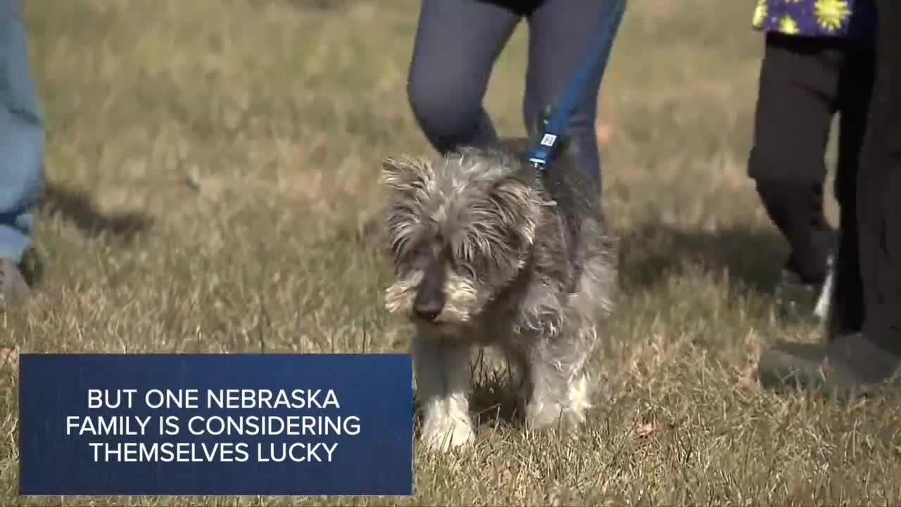 Nebraska family reunited with dog lost over 2 years