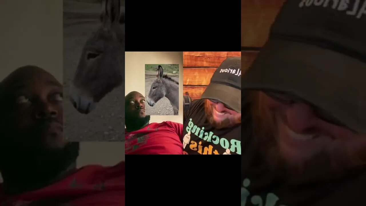 Here’s Your Dose Of REALarious…🤣🤣🤣 with @Flamingojacksoncomedy