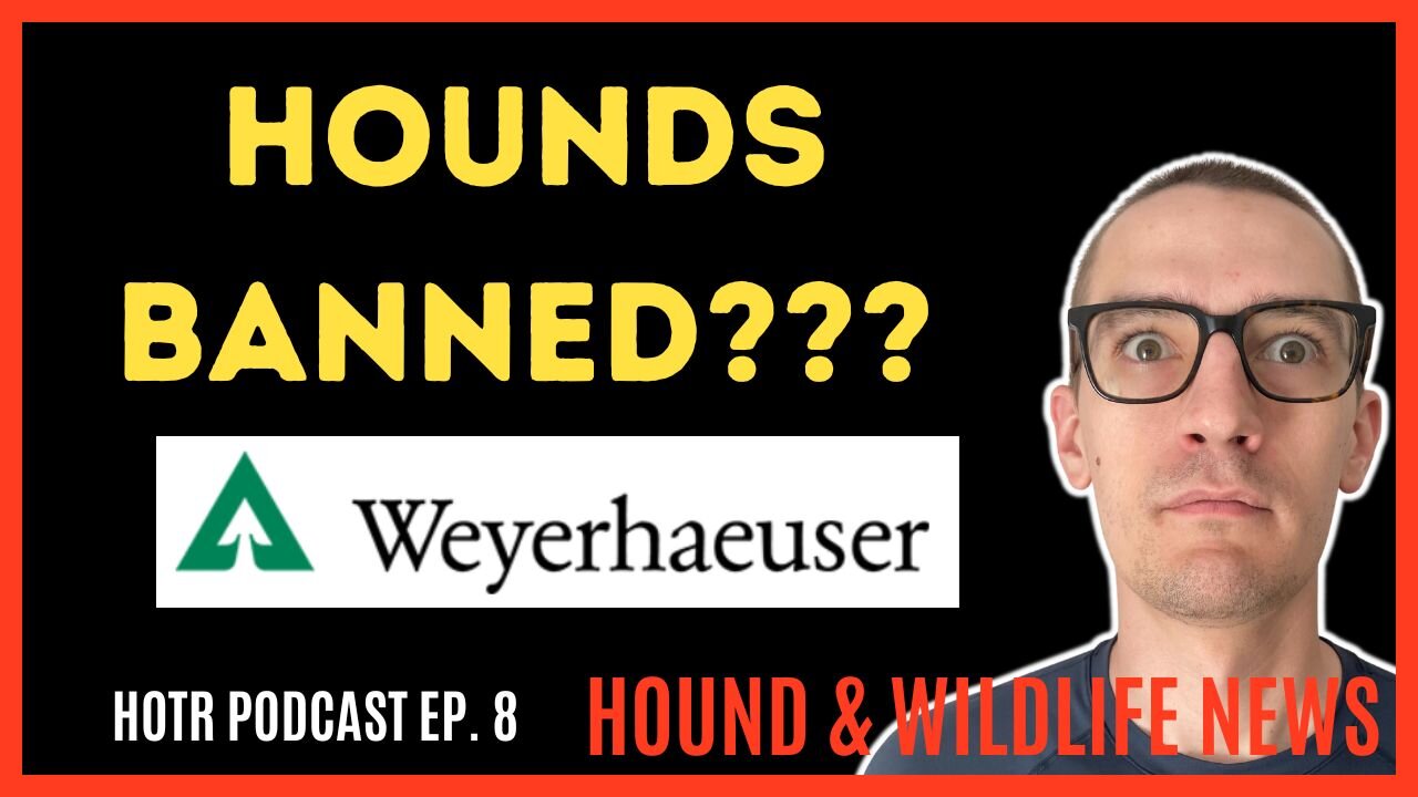 Did Weyerhaeuser BAN Hound Hunting? | Ep. 8 HOTR Podcast