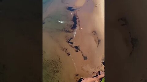 Drone Beach