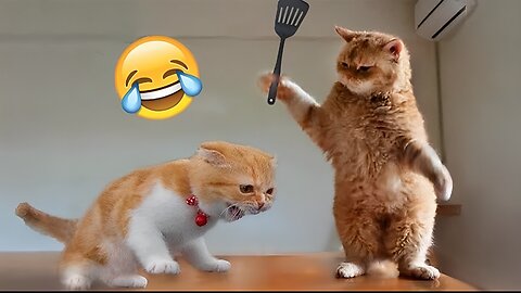 Best Funny Animal Videos of the year (2023), funniest animals ever. relax with cute animals video