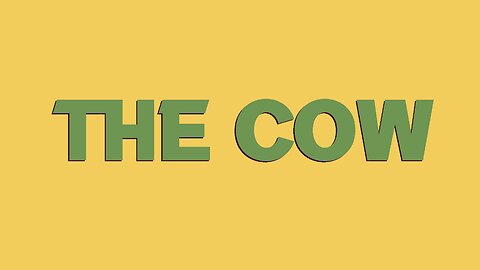 The cow