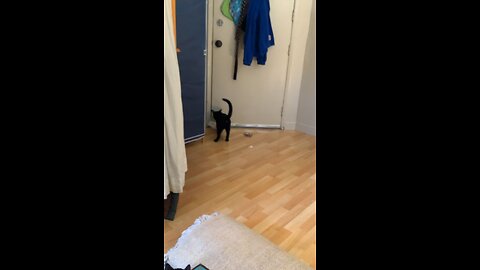 This is the last video I took of my son Tyler before he died.