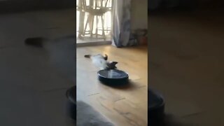 preguiça nível hard 🤣🤣
