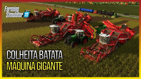Mega Colheita de Batatas no FARMING SIMULATOR 22