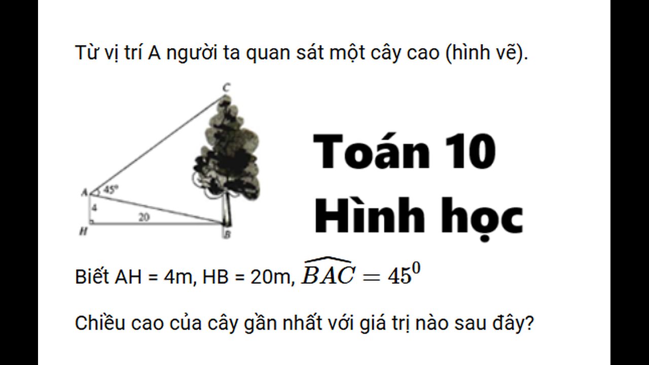 Toán 10: Từ vị trí A người ta quan sát một cây cao (hình vẽ). Biết AH = 4m, HB = 20m
