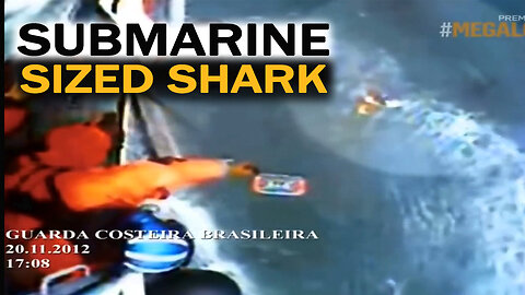Megalodon Shark Reported Sighting Caught on Camera - Discovery Channel Shark Week Submarine