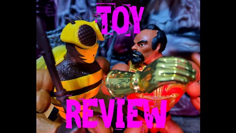 Masters of the Universe Origins Jitsu and Buzz-Off Action Figure Review