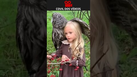 mini princesa e sua coruja