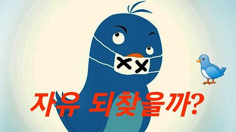 트위터 자유 되찾나? 221107