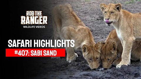 Safari Highlights #407: 09 & 10 May 2016 | Sabi Sand Wildtuin | Latest Wildlife Sightings