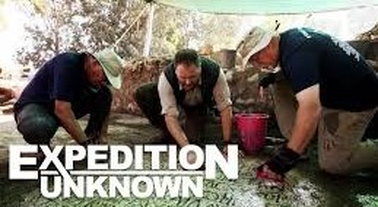 Mosaic Inscriptions FOUND in the City of Jesus and His Disciples Expedition Unknown