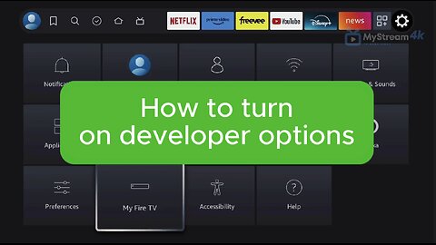 Turn on Developer options