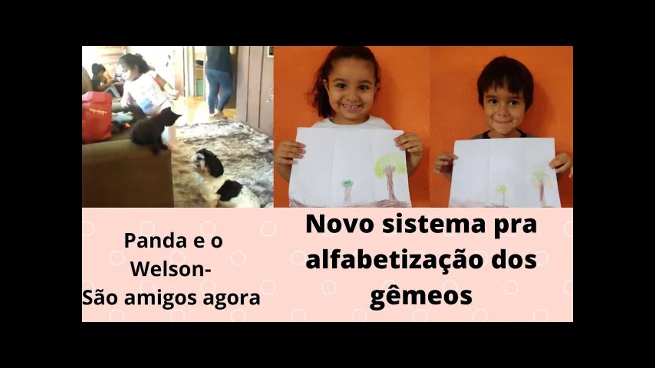 Novo sistema de alfabetização pra escola municipal - Adaptação de gato e cachorro- vlog rotina