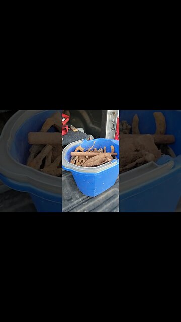 All We Dig is Treasure! Right?