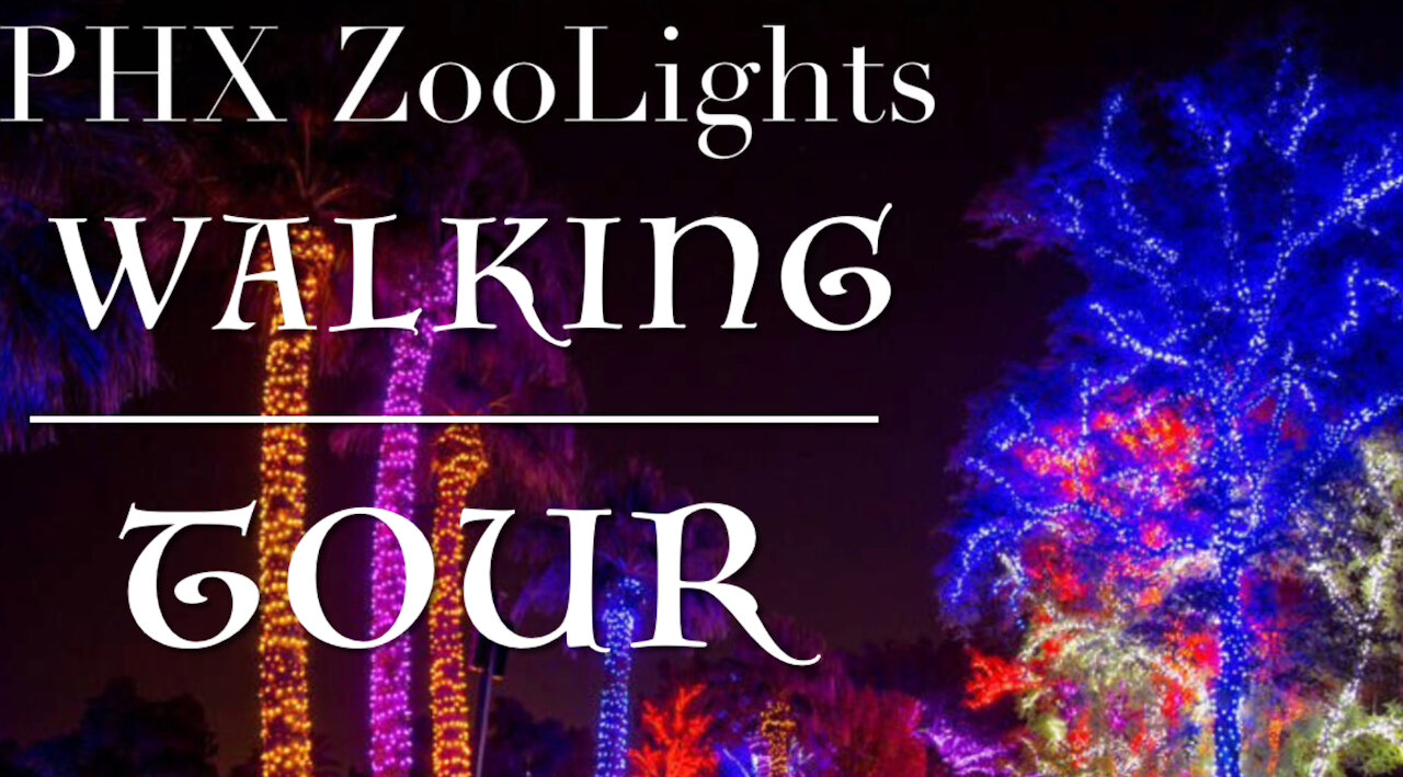 ZooLights! Christmas event at the PHX Zoo