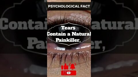 Amazing Psychological Fact That Will Blow Your Mind || #Shorts || #Facts || Facts HUb