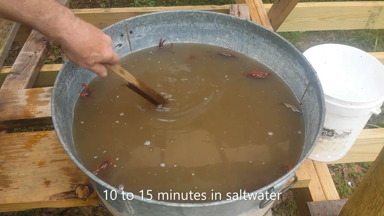 Crawfish Boil at the Log Cabin