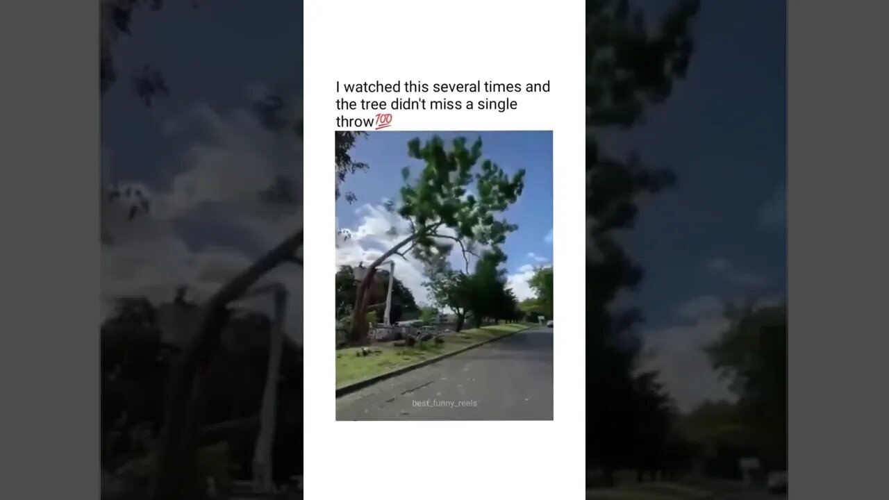 😂😂🌴 Credits to @best_funny_reels on Instagram #shorts #shortsvideo #fyp #funny #notmine #fy #tree