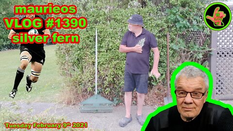 maurieos VLOG 1390 silver fern