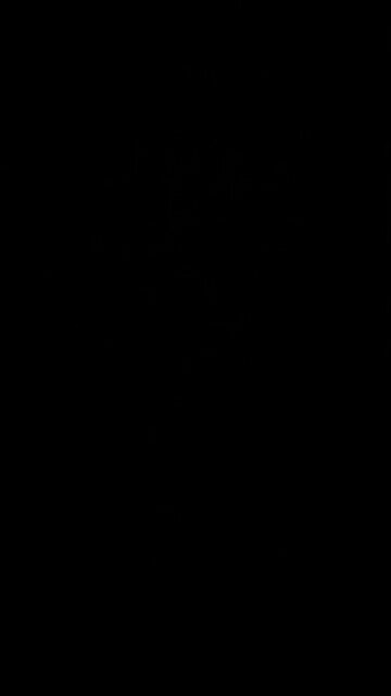 Christians will not go through the great tribulation