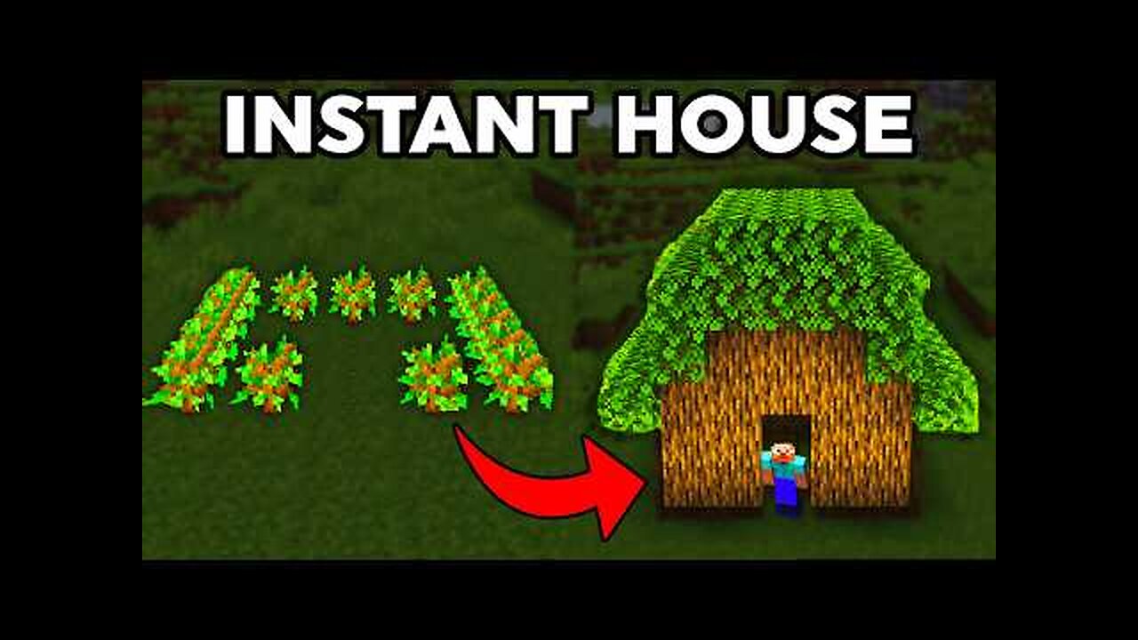 Cheap Minecraft Hacks!