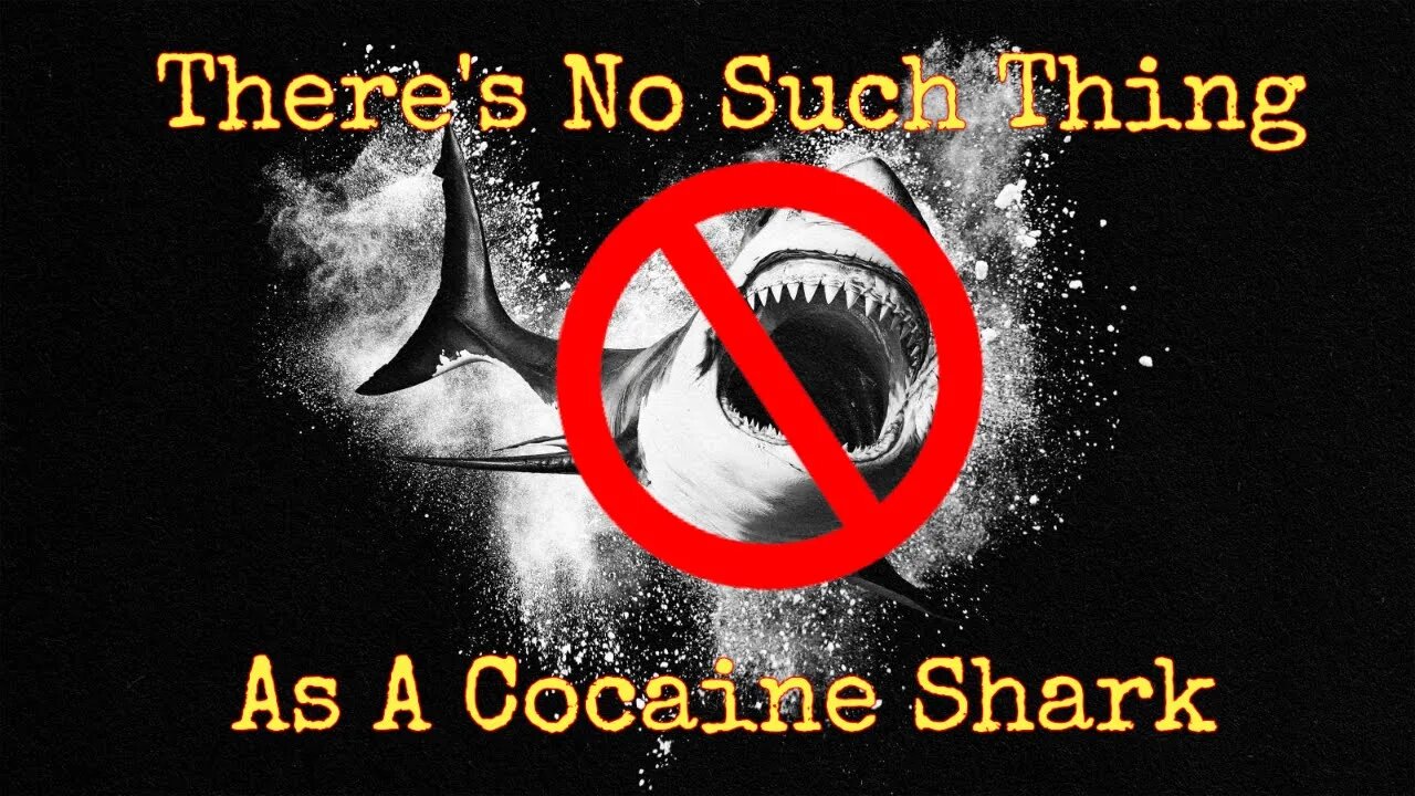 There's No Such Thing As A Cocaine Shark