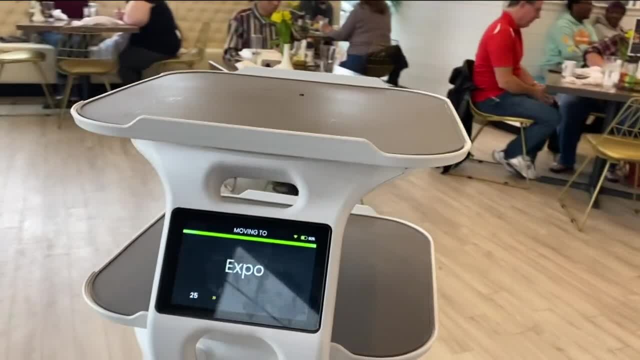 Golden Nest's newest employee is a robotic food runner, bussing bot