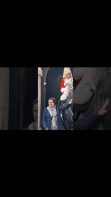 she leaning on him #horseguardsparade