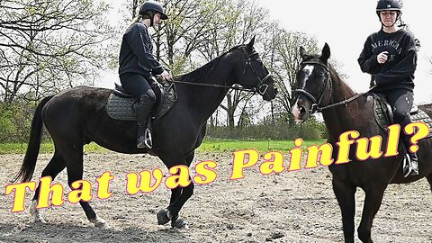 First Ride On Storm! Was He Back To His Old Tricks Trying to Buck Her Off Or Was He Good?