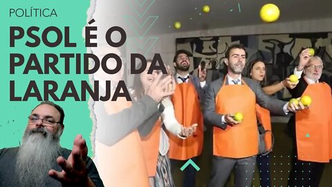 PSOL acusa outros, mas PESQUISA MOSTRA que o PSOL é o PARTIDO com MAIS CANDIDATAS LARANJA na CÂMARA